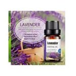 Lavender Essential Oil 100% Pure Therapeutic Grade - 10ml - Image 2