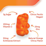 Vitamin C Gummies 250mg with Zinc and Echinacea for Immune Support, Immune Booster Supplement, 60 Gummies - Image 4